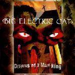 Big Electric Cat : Dreams Of A Mad King